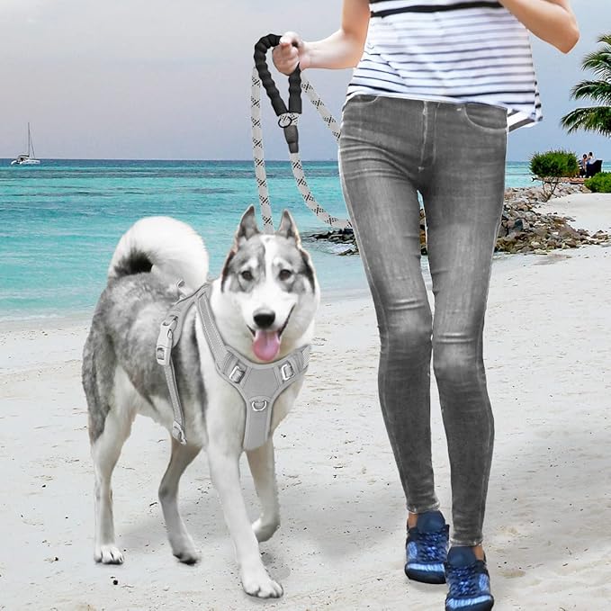 BARKBAY No Pull Dog Harness Large Reflective Dog Harness with Front Clip and Easy Control Handle for Walking Training Running with ID tag Pocket(Grey,XL)