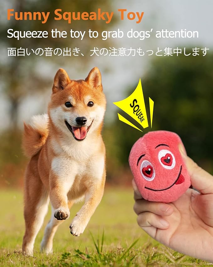 Squeaky Dog Toys, [6 Pack] Soft Stuffed Plush Balls with Squeakers, Interactive Fetch Play for Puppy Small Pets