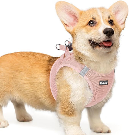 rabbitgoo Small Dog Harness, Step-in Soft Mesh Puppy Vest with Safety Buckle, Breathable Reflective Pet Harness for Small Medium Dogs, Pink L