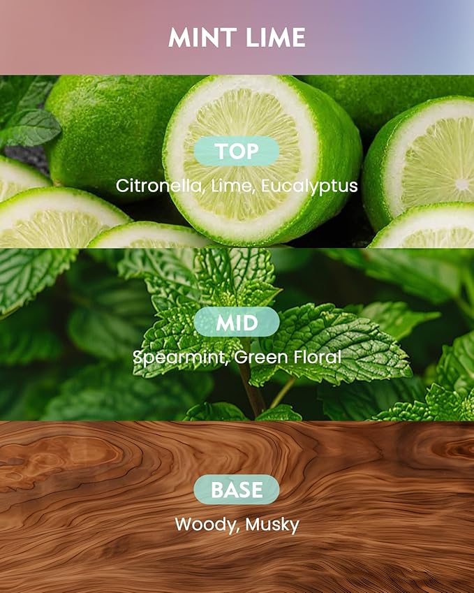 M&SENSE Mint Lime Scented Candle,11.6oz Natural Soy Wax Non Toxic for Home, 3 Wick Jar Candle, Up to 60 Hours Burn time, Stress Relief Candles for Women/Men