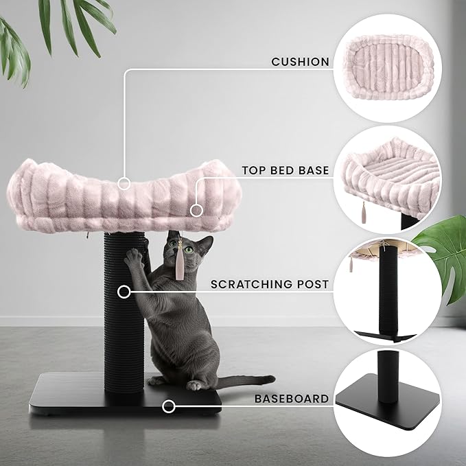 Modern Scratching Post for Indoor Cats - 15” High Cat Scratching Post with Bed Breeds - 15.7” x 11.6” Removable & Washable Cushion (Black Post with Pink Bed)