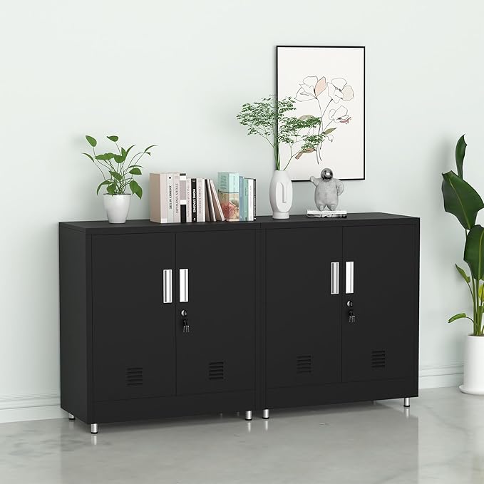 Metal Storage Cabinet with Locking Doors and Adjustable Shelf, Small Lockable Sideboard Buffet Cabinet for Home, Office, Entryway, Hallway, Living Room, Kitchen and Dining Room (Black)