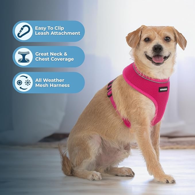 Best Pet Supplies Voyager Aerolite No Pull Mesh Dog Harness, Reflective Stitching, Breathable Harness, Adjustable for Walking, Training, Running, Heavy Duty and Durable, Fuchsia, XS