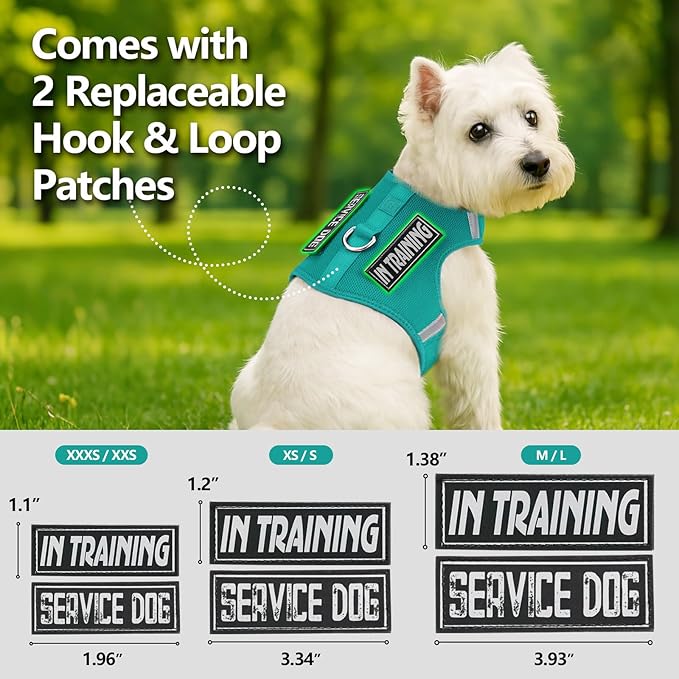 Dog Harness for Puppy – Adjustable Reflective Easy Put On Soft Mesh Vest for Small Dogs with 2 Patches (MARRS Green,S)