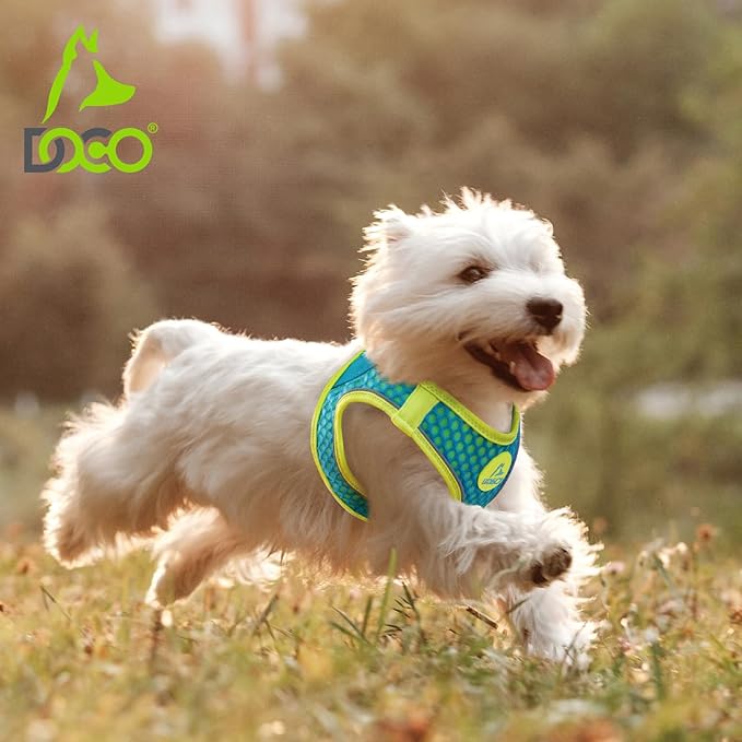 DOCO Dog Harness (Chest 16"-17", Weight 10–15 lbs) Athletica Adjustable Heavy Duty No Choke Puppy Vest for Medium Dogs Lightweight Air Mesh, Reflective, Puppy Essentials – Turquoise, Medium