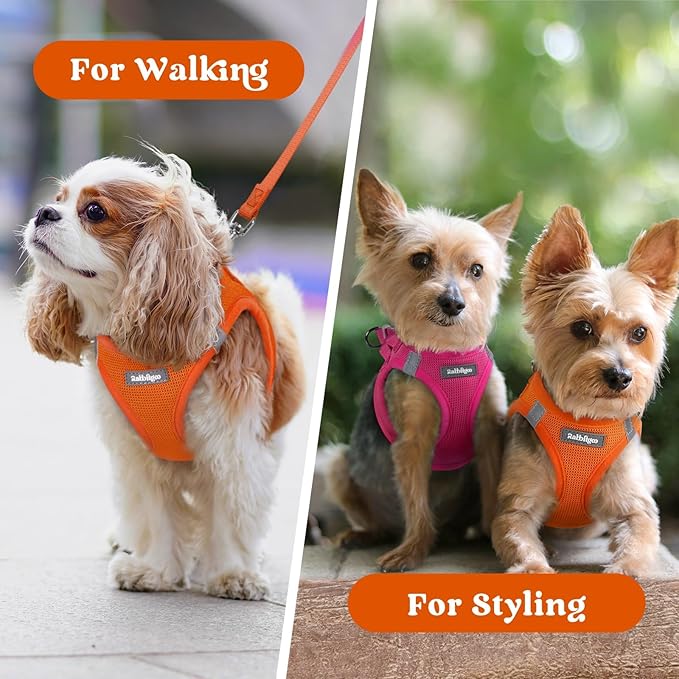 rabbitgoo Small Dog Harness, Step-in Soft Mesh Puppy Vest with Safety Buckle, Breathable Reflective Pet Harness for Small Sized Dogs, Orange S