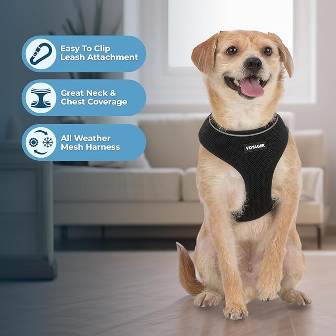 Best Pet Supplies Voyager Aerolite No Pull Mesh Dog Harness, Reflective Stitching, Breathable Harness, Adjustable for Walking, Training, Running, Heavy Duty and Durable, Black, S