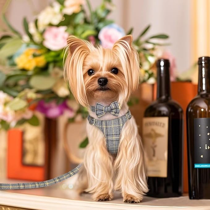 Beirui Cute Extra Small Dog Harness Collar and Leash Set with Bowtie, Soft Adjustable Plaid Puppy Harness for Small Sized Dogs Cats Walks Parties and Photoshoots(Gray,XXS:Chest 12-14")