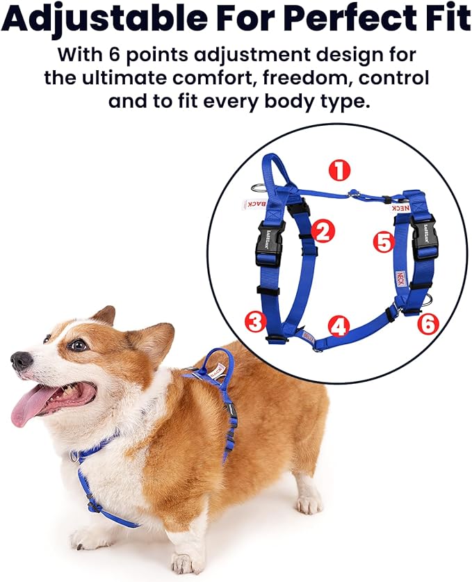 Non Restrictive Dog Harness, Easy Walk Freedom No Pull Harness, Keep Balance, Lightweight, Neck Buckle, 2 Clips for Back/Front Clip, Sewn-in Instructions Labels for Easy Use (Blue, X-Small)