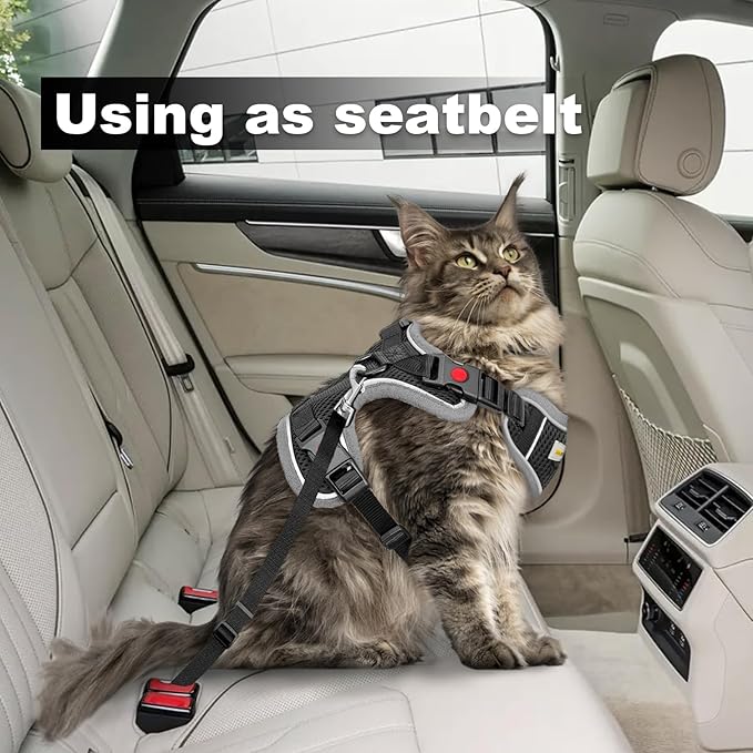 Cat Harness and Leash for Walking, Retractable Cat Harnesses and Leash Set Escape Proof, Breathable Soft Kitten Small Large Harness for Travel Training and Walking, Grey, XXS