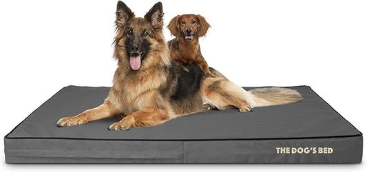 The Dog’s Bed Orthopedic Memory Foam Dog Bed, XXL Grey & Black 54x36, Waterproof, Supportive Dog Bed with Replaceable Covers, Veterinary Approved