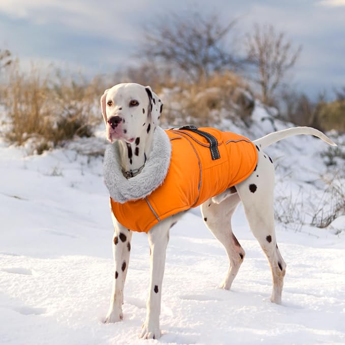 Lelepet Warm Dog Coat Reflective Fleece Vest Waterproof Dog Jacket with Adjustable Buckle Hook & Loop Windproof Cold Weather Coats for Small Medium Large Dogs, Orange, XXXL