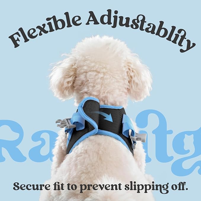 rabbitgoo Dog Harness Small Sized and Leash Set, Step-in Breathable Pet Harness, Soft Walking Reflective Puppy Vest for Small Dogs, Black & Light Blue, S