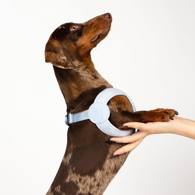 Ultra Comfortable Dog Harness Adjustable Soft Dog Vest, Alloy Buckle Closure Lightweight Stretchy Puppy Harness Step in for Small Sized Dogs Walking Training (Monet Purple, XL 21.7-23.6")