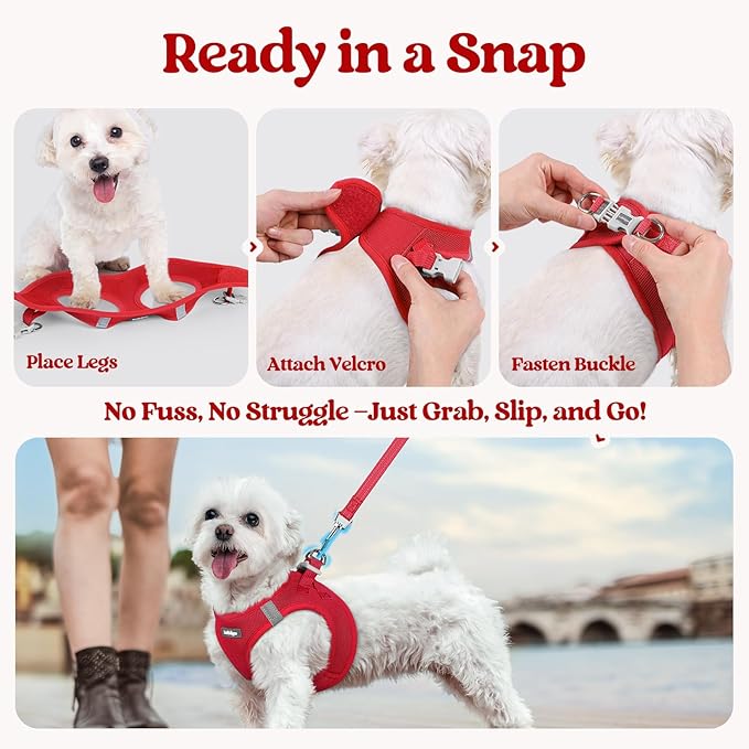 rabbitgoo Dog Harness Small Sized and Leash Set, Step in Soft Light Puppy Vest, Breathable Mesh Pet Harness, Reflective for Outdoor Safe Walking, Red XL