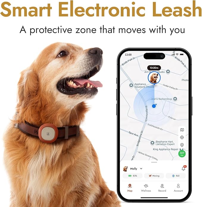 Molly&Cody GPS Dog/Cat Tracker, Multi-Mode GPS/Bluetooth, Real-Time Tracking for Pet Collar with Virtual Fence, Long Battery, IP67 Waterproof, Health Monitor, 1-Year Record, iOS/Android App (Gold)