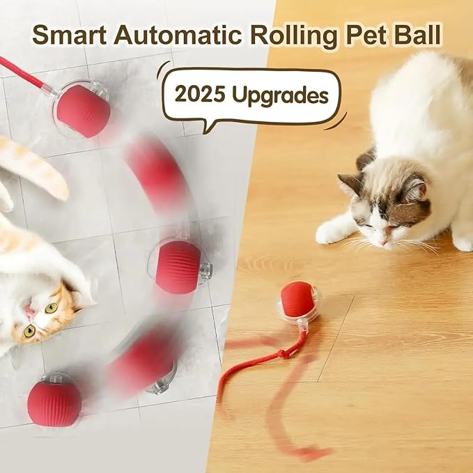 Cat/Dog Interactive Ball - Rechargeable, Motion Chase Toy, Self-Moving Kitten Toy for Indoor Playing, Fast on Carpet
