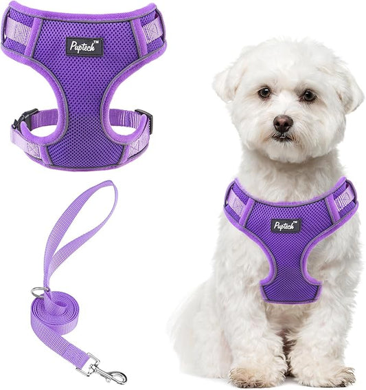 PUPTECK Small Dog Harness and Leash Set, No Pull Adjustable Puppy Cat Harness, Reflective Soft Mesh Pet Vest Small Sized