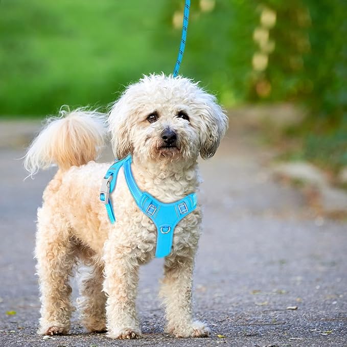 BARKBAY No Pull Dog Harness Large Reflective Dog Harness with Front Clip and Easy Control Handle for Walking Training Running with ID tag Pocket(Blue,XS)
