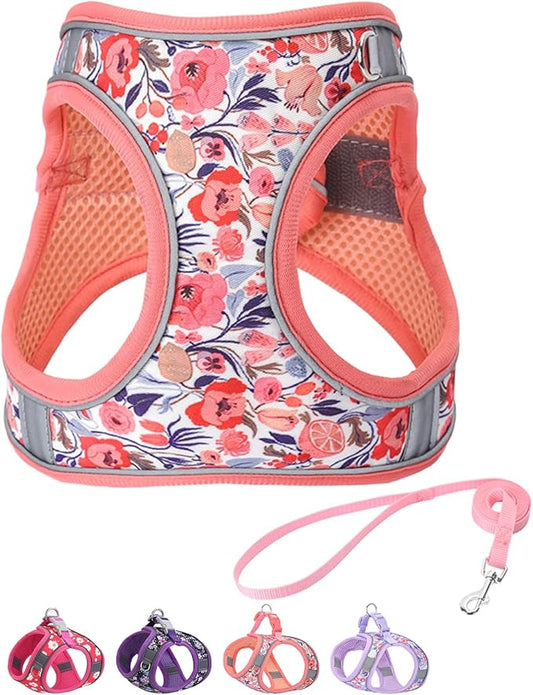 Step in Dog Harness and Leash Set, Flower Adjustable Easy Walk Puppy Harnesses, Soft Mesh Pet Vest Harness Small Size Dog Adjustable No Pull Dog Harness for Small Medium Dogs(Pink, S)