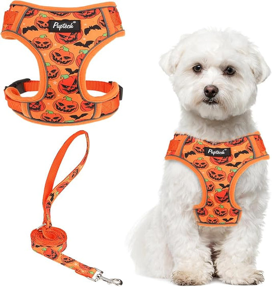 PUPTECK Small Dog Harness and Leash Set, No Pull Adjustable Puppy Cat Harness, Reflective Soft Mesh Pet Vest Small Sized