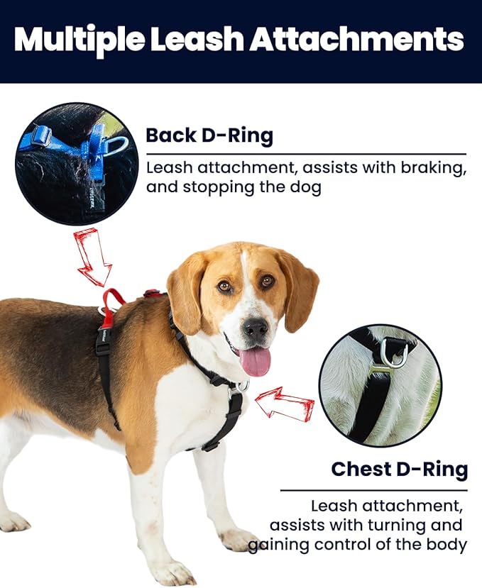 Non-Restrictive Dog Harness Medium Sized Dog, Easy Walk Freedom No Pull Harness, Keep Balance, Neck-Buckle, Six Points Adjustment, 2 Leash Clips for Back/Front Clip, Blue/Black