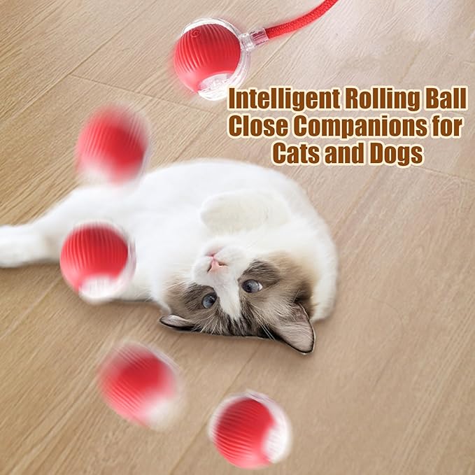 2PC Interactive Cat Toys,360 ° Fully Automatic Dogs & Cats Smart Rolling Ball,Durable and Rechargeable(Green+Red)