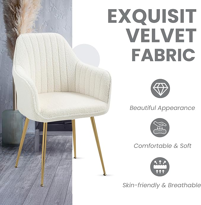 ECOTOUGE Teddy Velvet Dining Chairs Set of 2, Modern Arm Chair with Golden Metal Legs, Fluffy Boucle Sherpa Accent Chairs for Kitchen, Cream White