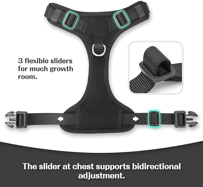 No Pull Dog Harness for Small Medium Large Dogs - Adjustable Two-Layer Mesh Dog Vest with Dual Clip, Escape Proof, Quick Release, Lightweight Breathable Mesh for Walking Hiking (Black,S)