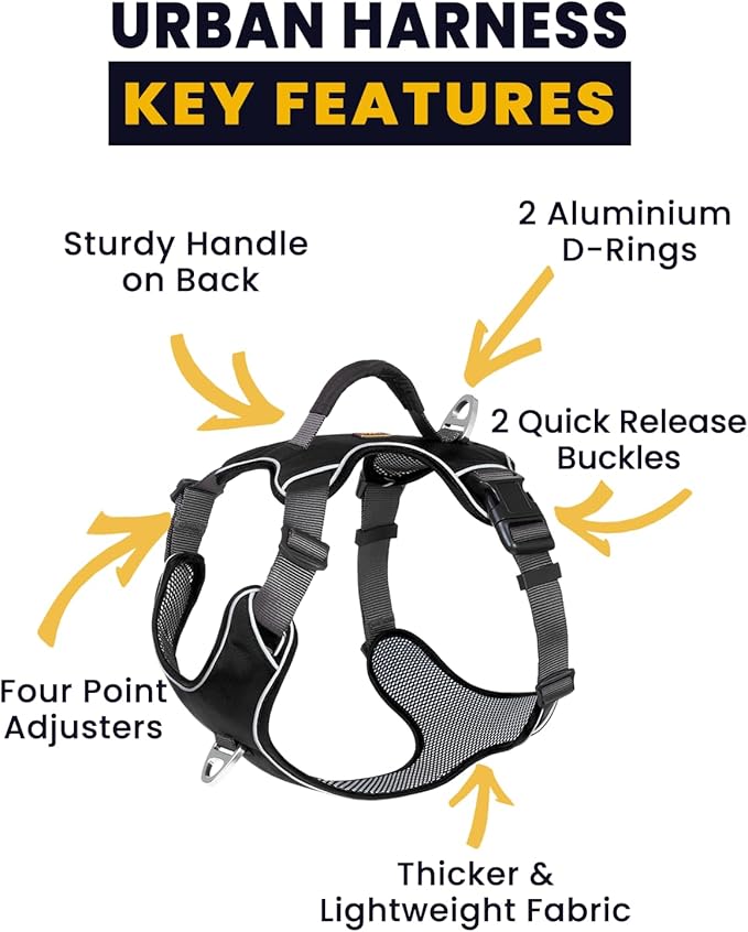 No Pull Dog Harness with Back Control Handle Medium Sized, Reflective Vest, Adjustable and Padded, Easy Walker Front/Back Clips (Black, Medium)