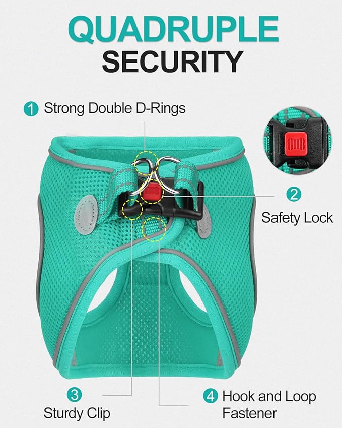 Joytale Small Dog Harness, Breathable Mesh Step-in Vest, Reflective Soft Padded Harnesses for Cats, Puppies and Extra Small Dogs, Teal, XXS