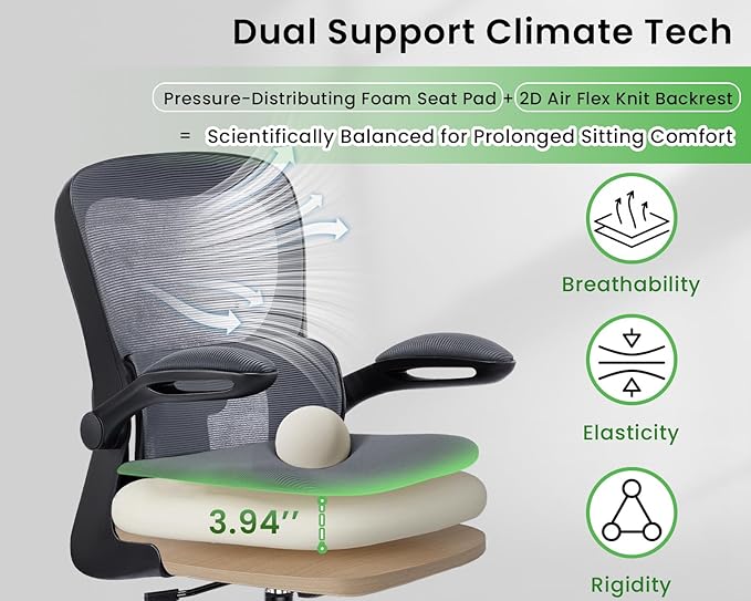 Ergonomic Office Chair, Comfy Desk Chair with Adjustable Lumbar Support, Mesh Computer Chair with Wheels, Flip-up Armrests, Swivel Rolling Executive Chair for Home Office, Gaming, Dark Gray