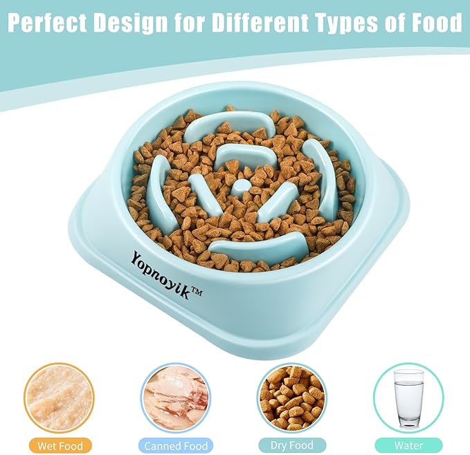Slow Feeder Dog Bowls for Healthy Eating, Non-Slip and Anti-Choking Design, Reduces Bloating & Overeating for Medium Dogs and Cats, Easy to Clean