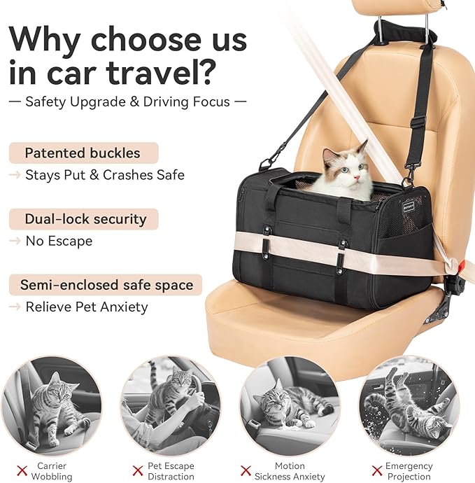 Petsfit Large Cat Carrier for 2 Cats, Lightweight Collapsible Double Cat Carrier for Travel, 4-Sided Breathable Mesh, with Adjustable Shoulder Strap, Locking Zipper and Washable Fleece Pad Black