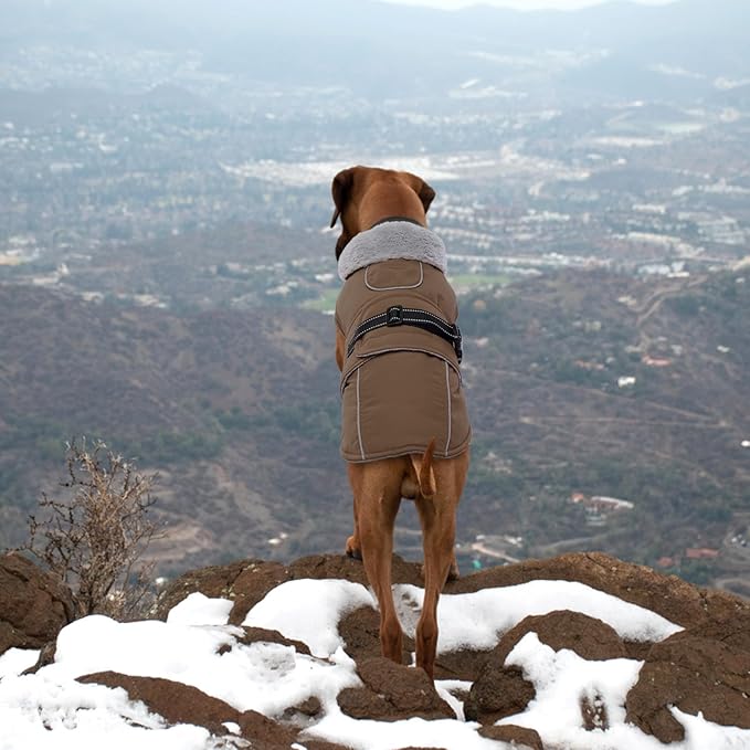 Lelepet Warm Dog Coat Reflective Fleece Vest Waterproof Dog Jacket with Adjustable Buckle Hook & Loop Windproof Cold Weather Coats for Small Medium Large Dogs, Brown, XL