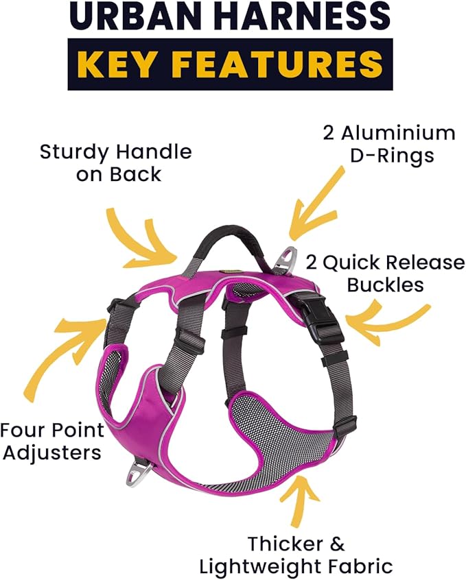 No Pull Dog Harness with Back Control Handle Medium Sized, Reflective Vest, Adjustable and Padded, Easy Walker Front/Back Clips (Purple, Medium)