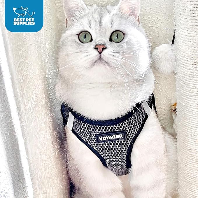 Best Pet Supplies Voyager Step-in Air Harness - All Weather Mesh, Reflective, No Pull Harness for Dogs, Cats - Secure with Hook & Loop Fastener, Buckle, Double D-Rings - Tone, XL