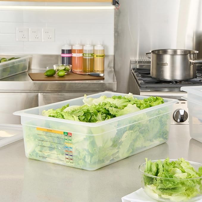 Restaurantware Food Pans Pack of 10 Plastic Rectangle Food Containers Full Size with Traceability Label, Storage Containers Dishwashable Hot Cold Friendly for Restaurants Buffet Commercial Use