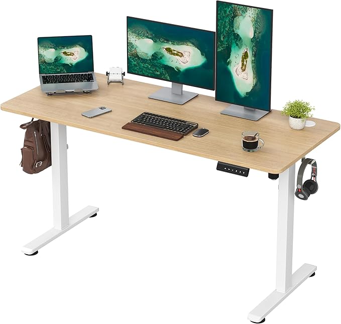 Casaphoria 55 x 24 inches Electric Standing Desk, Sit to Stand Desk with Memory Height Adjustment, Home Office Computer Desk for Writing and Games, Oak