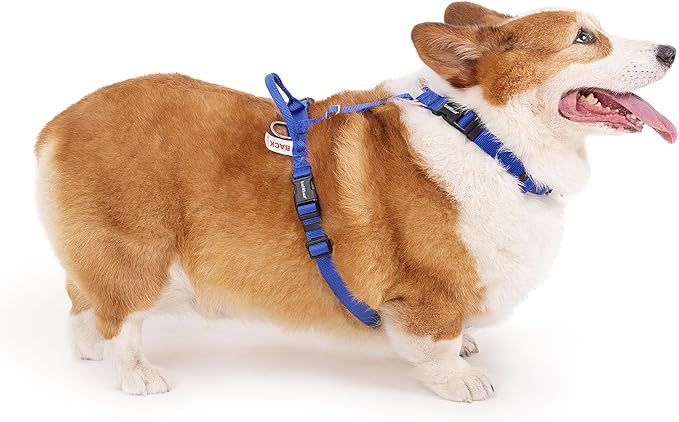 Non Restrictive Dog Harness, Easy Walk Freedom No Pull Harness, Keep Balance, Lightweight, Neck Buckle, 2 Clips for Back/Front Clip, Sewn-in Instructions Labels for Easy Use (Blue, X-Small)