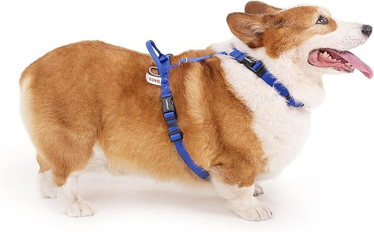 Non Restrictive Dog Harness, Easy Walk Freedom No Pull Harness, Keep Balance, Lightweight, Neck Buckle, 2 Clips for Back/Front Clip, Sewn-in Instructions Labels for Easy Use (Blue, X-Small)