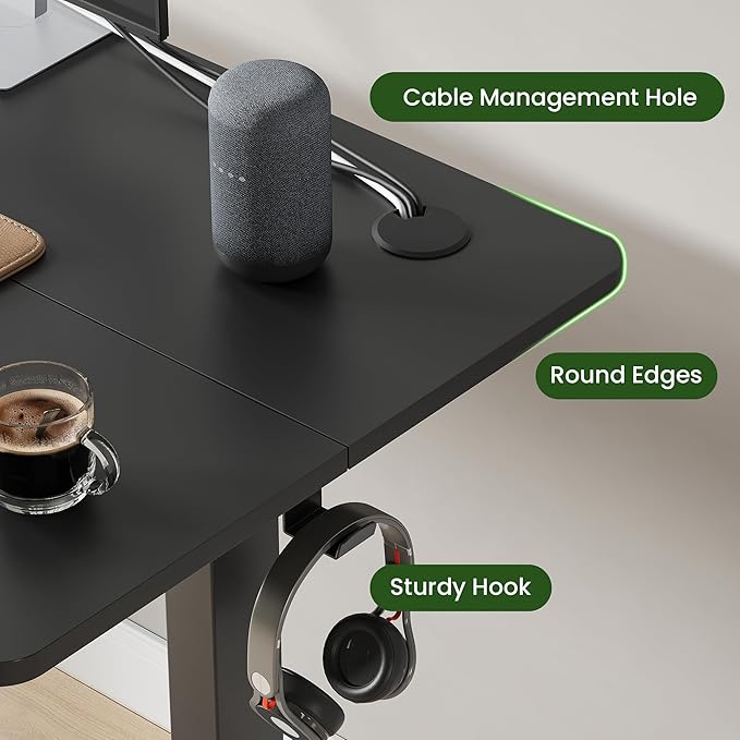 Casaphoria 40 x 24 inches Electric Standing Desk, Sit to Stand Desk with Memory Height Adjustment, Home Office Computer Desk for Writing and Games, Black