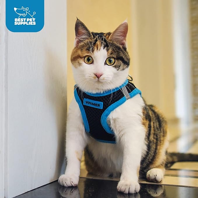 Best Pet Supplies Voyager Step-in Air Harness - All Weather Mesh, Reflective, No Pull Harness for Dogs, Cats - Secure with Hook & Loop Fastener, Buckle, Double D-Rings - Turquoise, XS