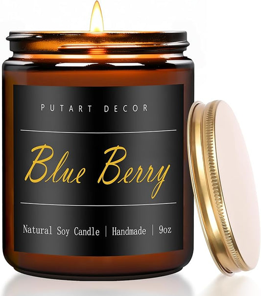 Blue Berry Candles for Home Scented, Natural Soy Aromatherapy Non Toxic Candles with Long Lasting Fragrance & Clean Burn, Luxury Jar Candle Gift for Women, Men, Home Decoration 9oz