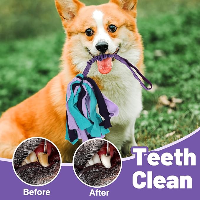 wodoca Interactive Dog Toys, Dog Rope Toys for Aggressive Chewers -Tough Rope Tug of War Dog Toys, Dog Tug Toy for Boredom for Small Medium Puppy Interacting Games (Purple)