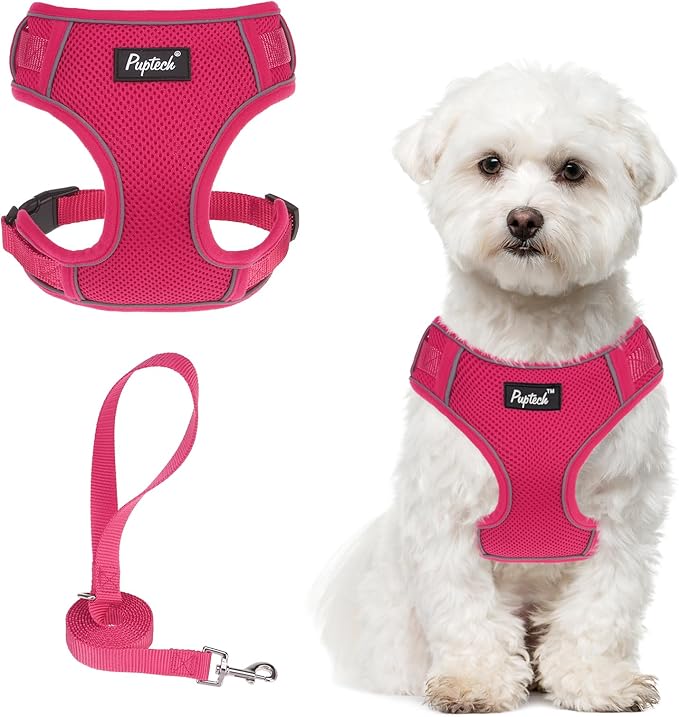 PUPTECK Small Dog Harness and Leash Set, No Pull Adjustable Puppy Cat Harness, Reflective Soft Mesh Pet Vest Small Sized