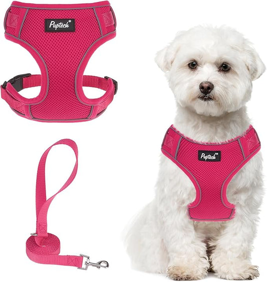 PUPTECK Small Dog Harness and Leash Set, No Pull Adjustable Puppy Cat Harness, Reflective Soft Mesh Pet Vest Small Sized