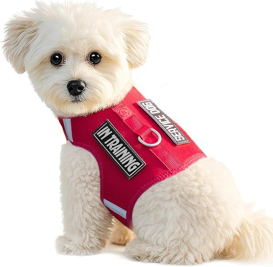 Dog Harness for Puppy – Adjustable Reflective Easy Put On Soft Mesh Vest for Small Dogs with 2 Patches (Burgundy Red,M)