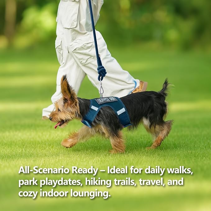 Dog Harness for Puppy – Adjustable Reflective Easy Put On Soft Mesh Vest for Small Dogs with 2 Patches (Prussian Blue,XS)