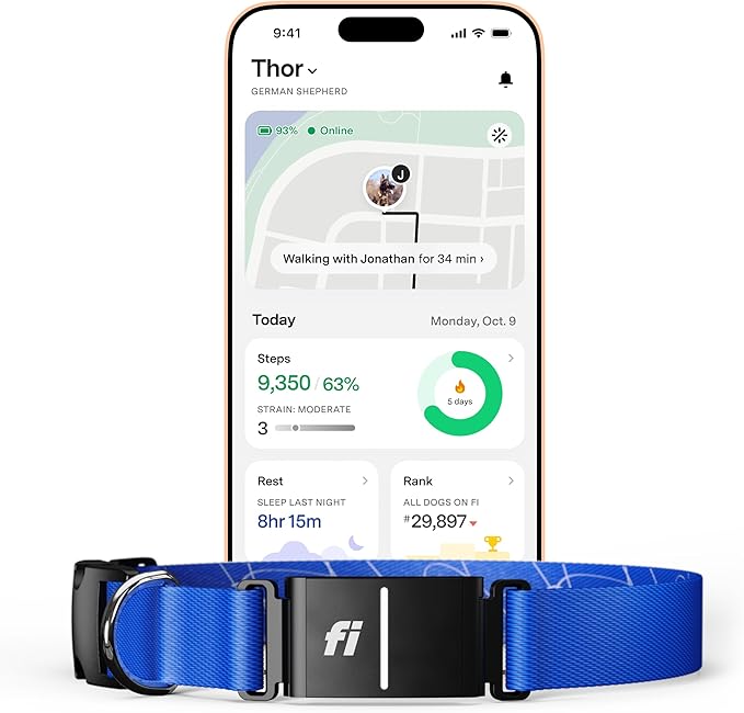 Fi New Series 3+ Smart Dog Tracker Collar [12 Month Membership Included] GPS Tracker for Dogs with Health & Behavior Monitoring, Escape Alerts, Waterproof, LED, Apple Watch Compatible (Blue, X-Large)